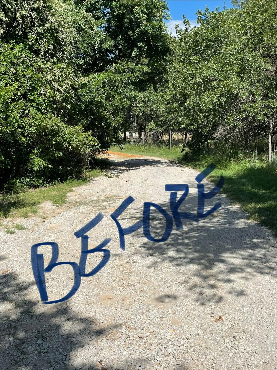 Overgrown gravel driveway crowded by brush before clearing