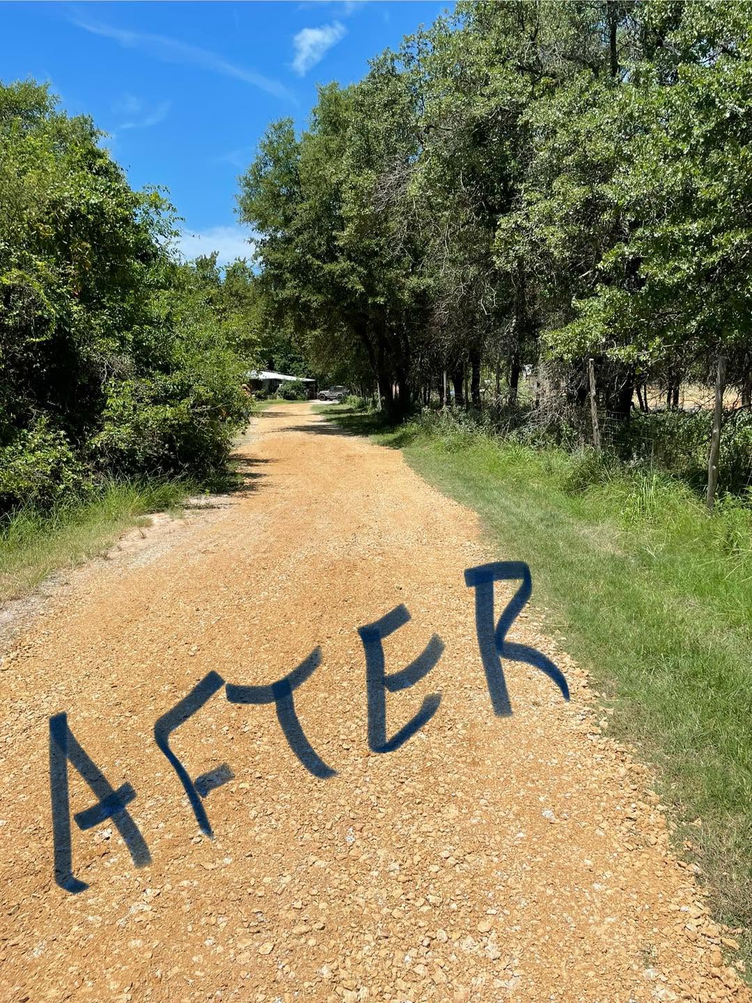 Driveway after: brush cleared back and the full drive open and passable